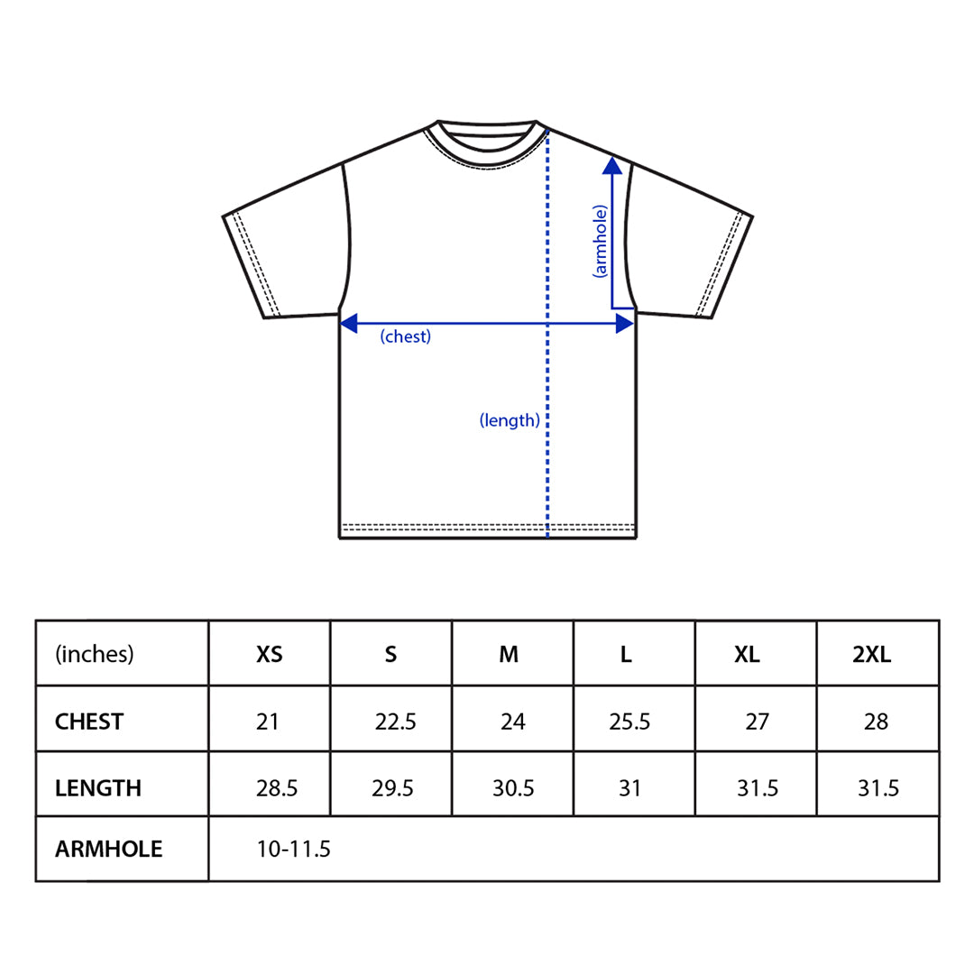 WASH⚡️DC CITY OF CORRUPTION TOUR 2020 VINTAGE T SHIRT